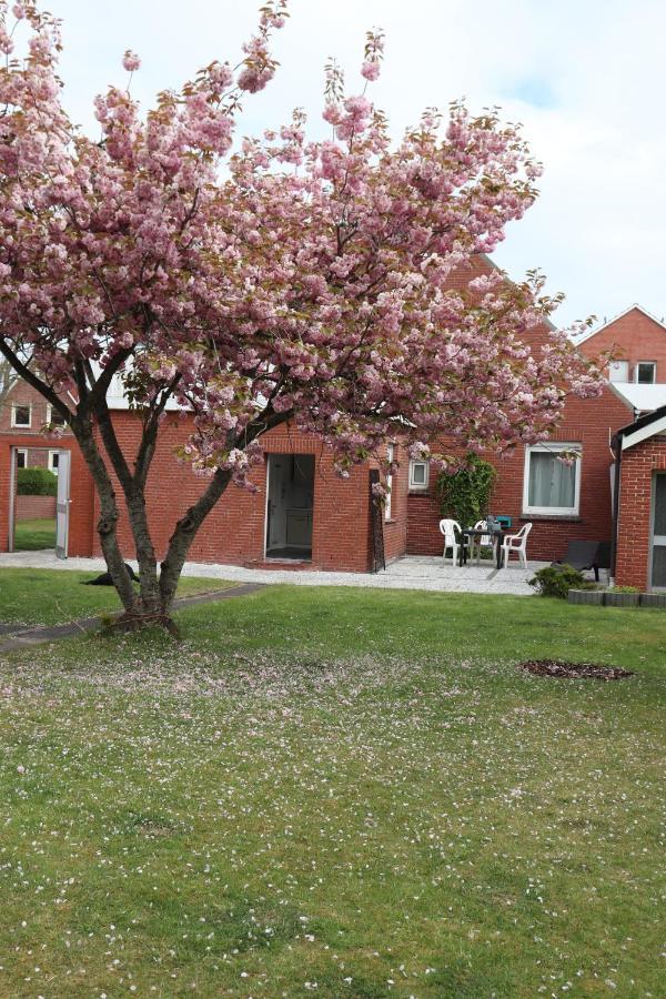 Ferienwohnung Casu 보르쿰 외부 사진